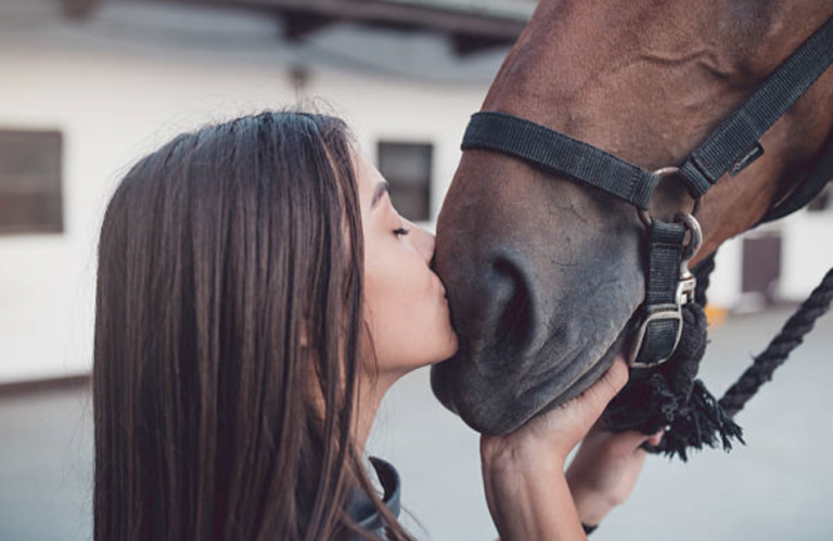 cheval femme bisou