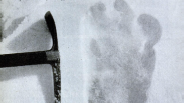 Eric Shipton traces yéti