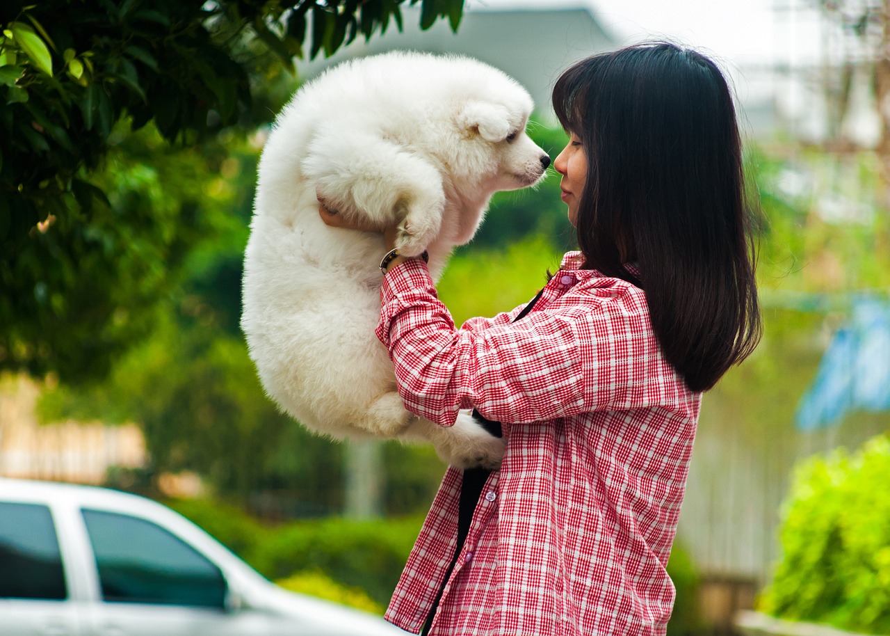 chiot câlin