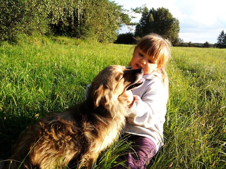 chien enfant câlin