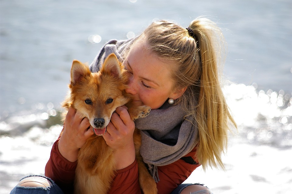 chien câlin