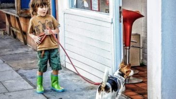 chien enfant ville rue