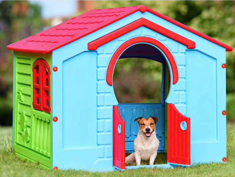 niche chien