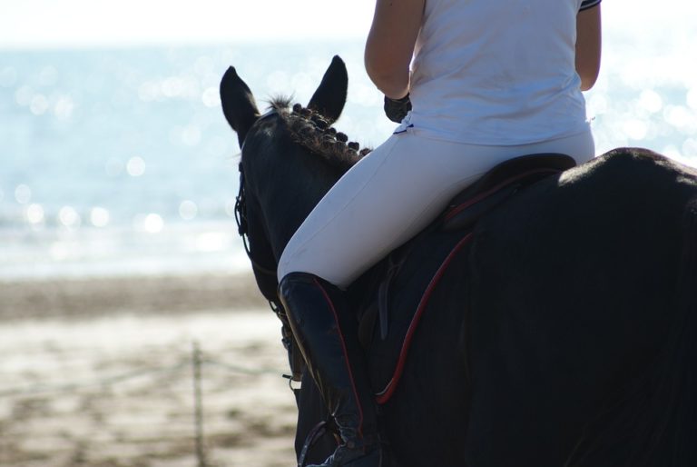 équitation