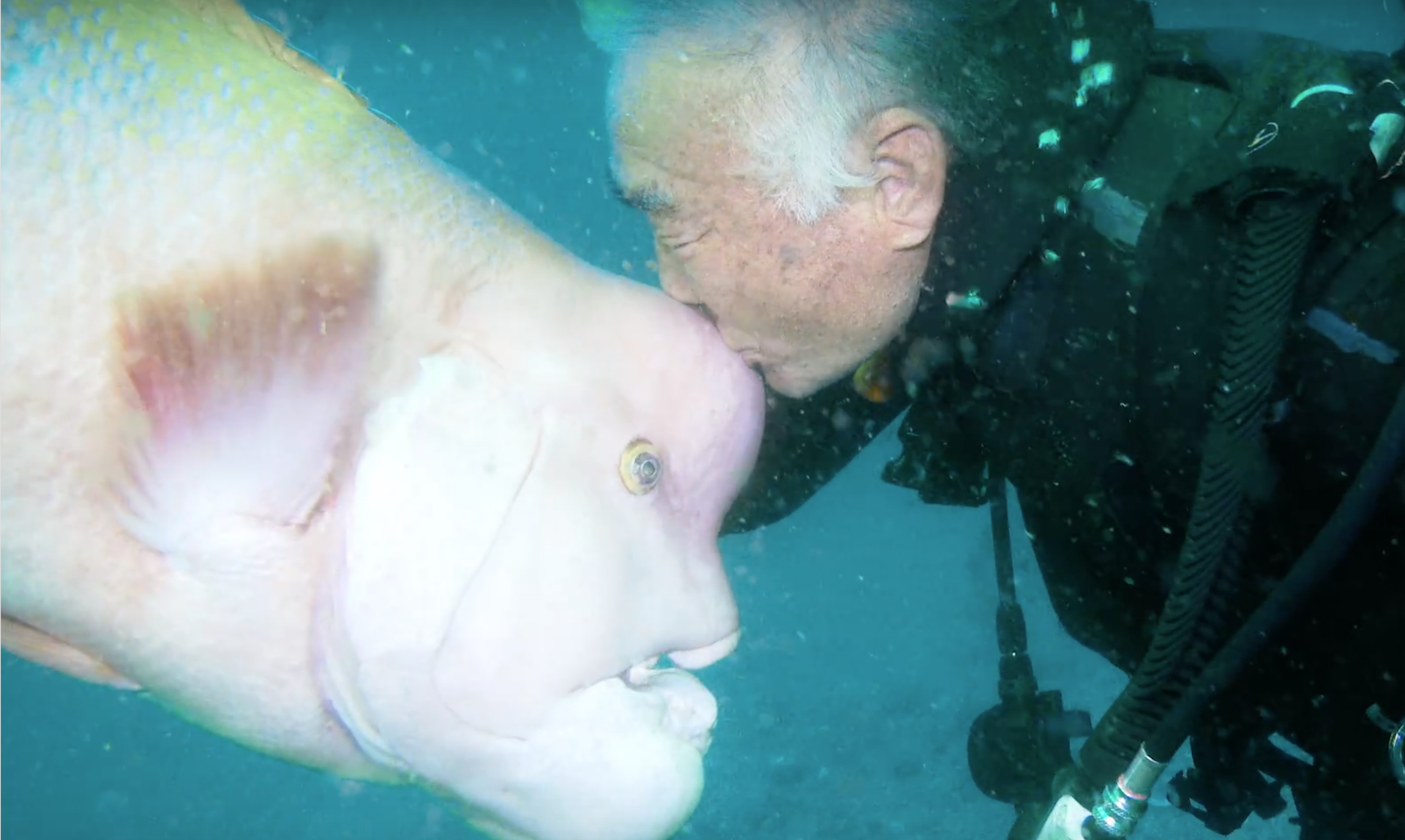 homme poisson