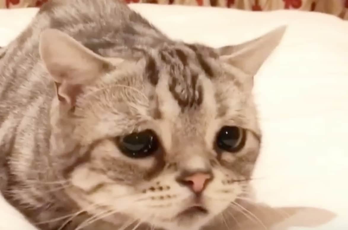 luhu
