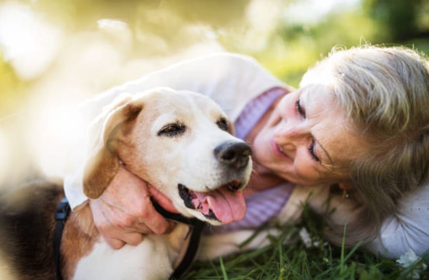 chien câlin personne âgée