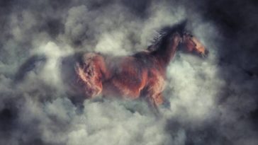 cheval fumée feu