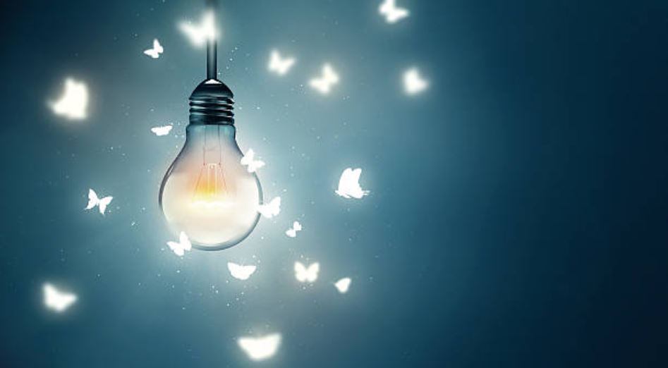 papillons lumière