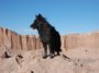 chien canyon