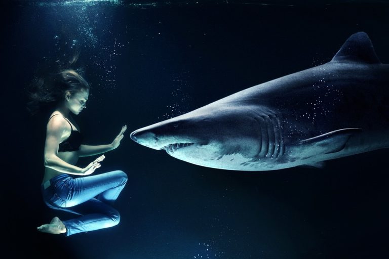 requin femme humain