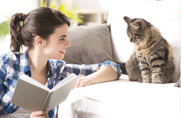 chat femme
