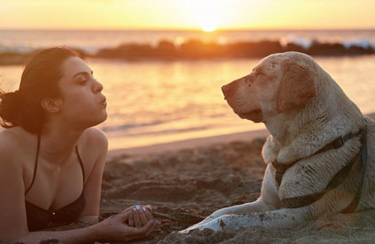 femme humain souffle chien plage coucher de soleil