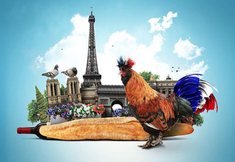 coq france