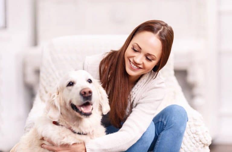 Top 5 des meilleurs animaux de compagnie en appartement