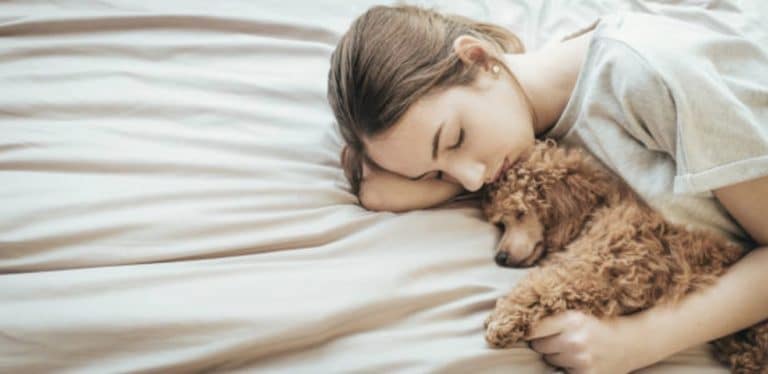 chien couché lit femme humain câlin