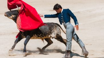 taureau torero corrida
