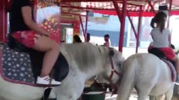 manèges poneys