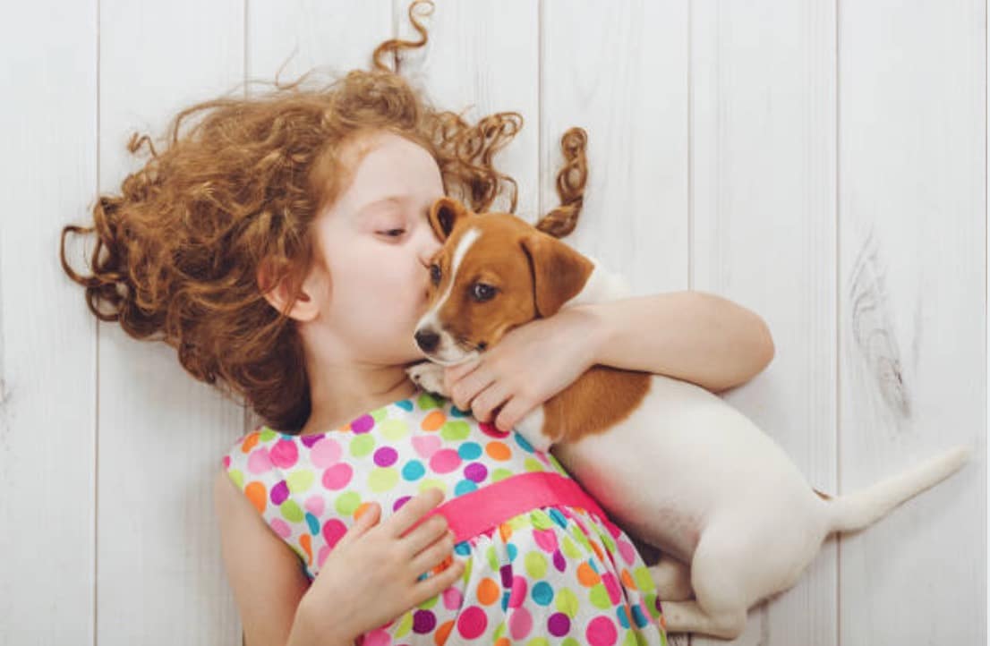 chiot