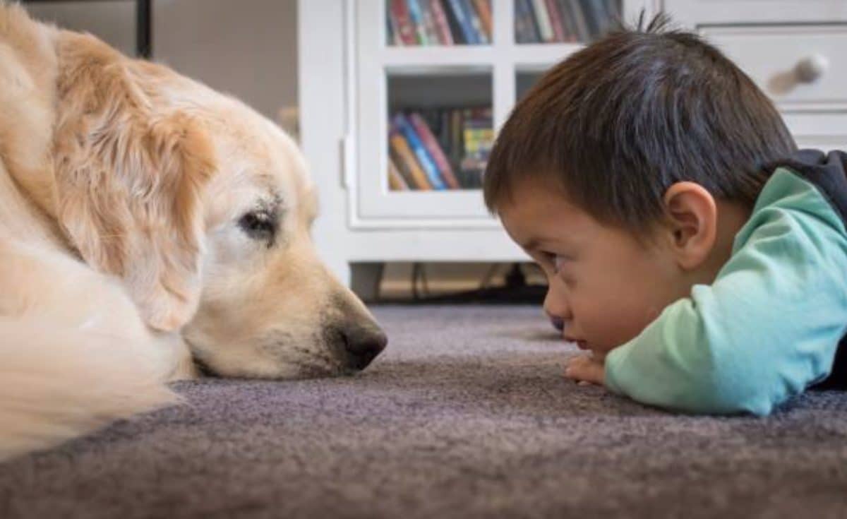 chien couché enfant