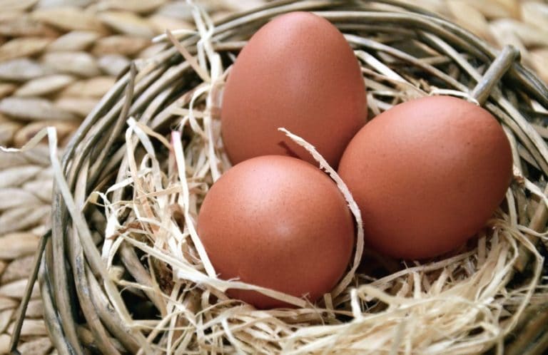 oeufs