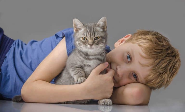chat câlin enfant