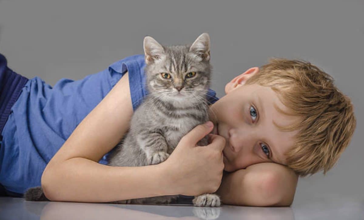 chat câlin enfant