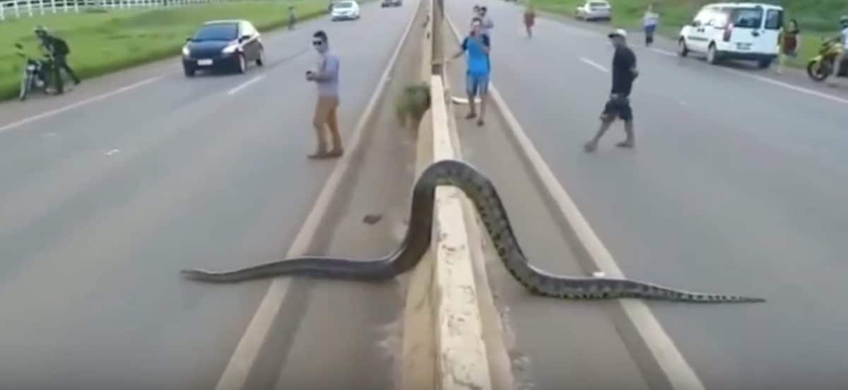 serpent route