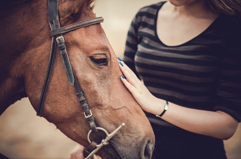 cheval
