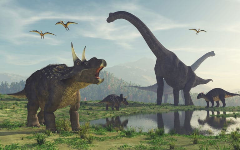 dinosaures