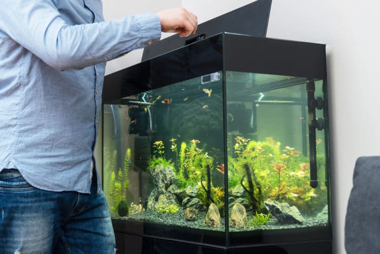 aquarium