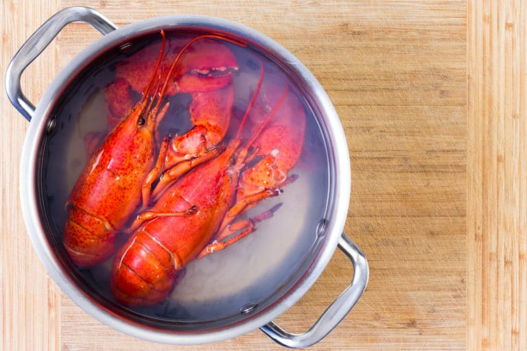 homards ébouillantés