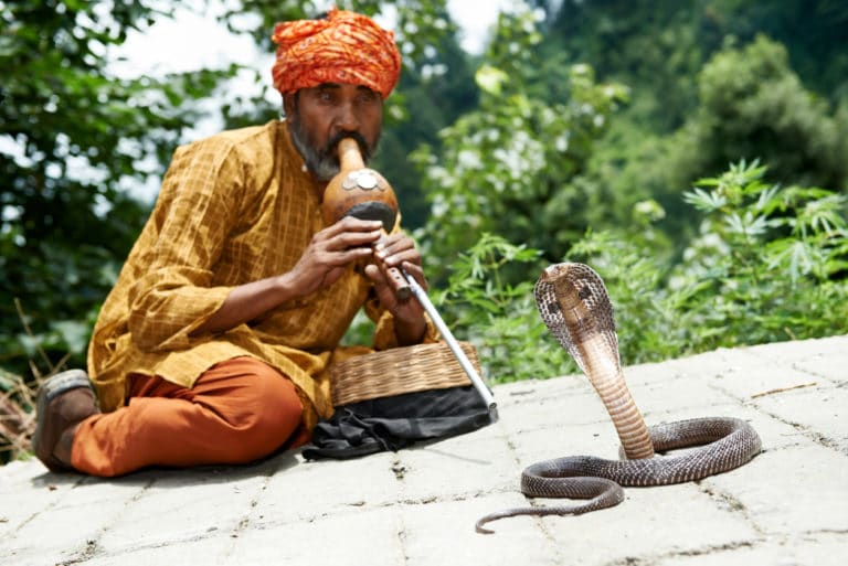 charmeur de serpent