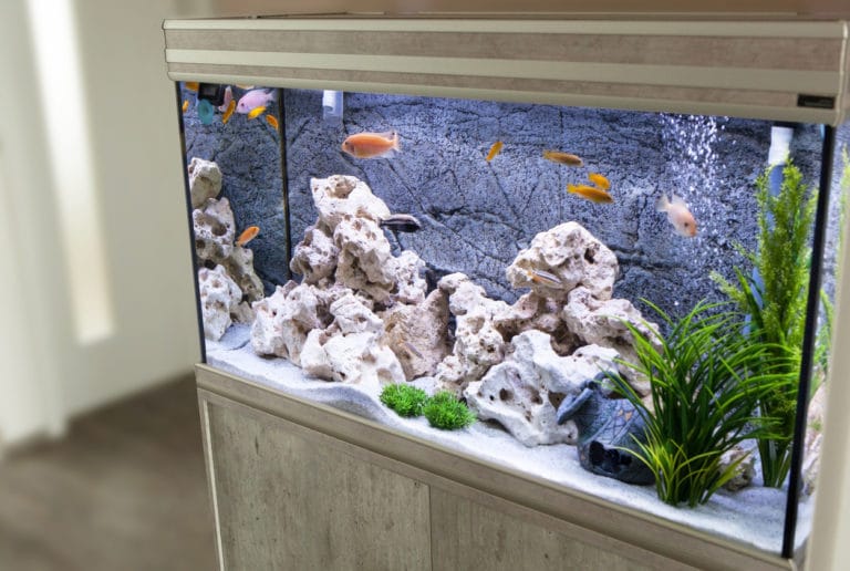 aquarium
