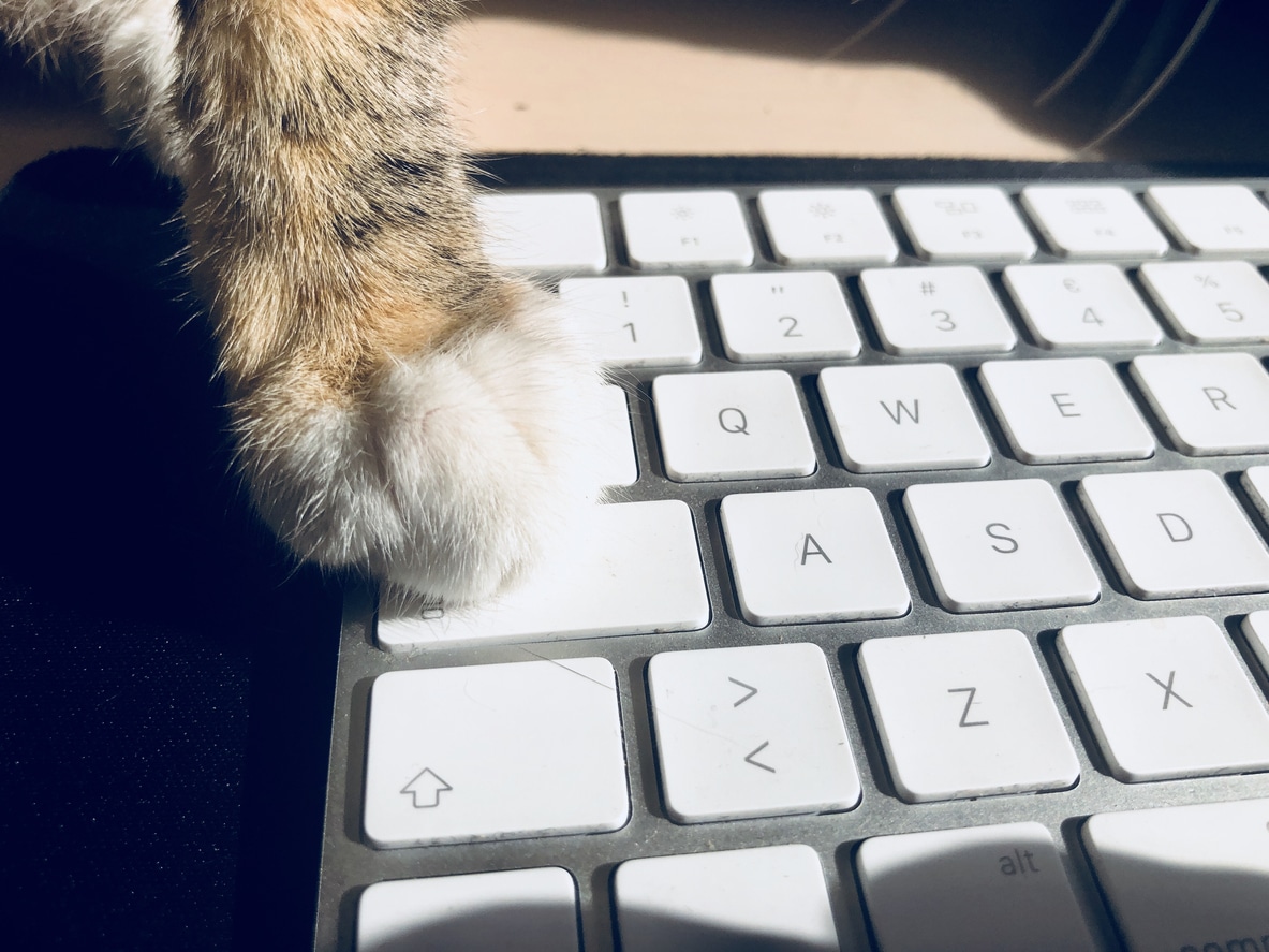 chat