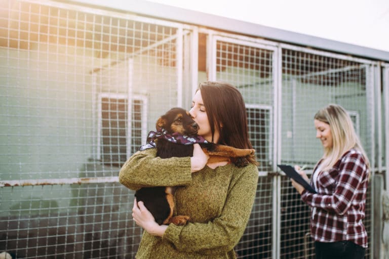 adoption chien refuge