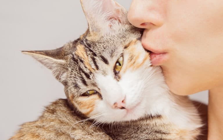chat
