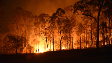 feux incendies Australie