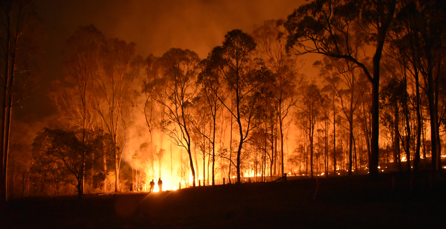 feux incendies Australie