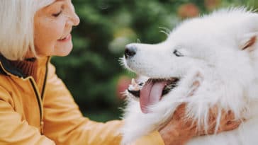 personne âgée chien