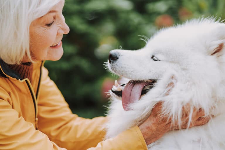 personne âgée chien