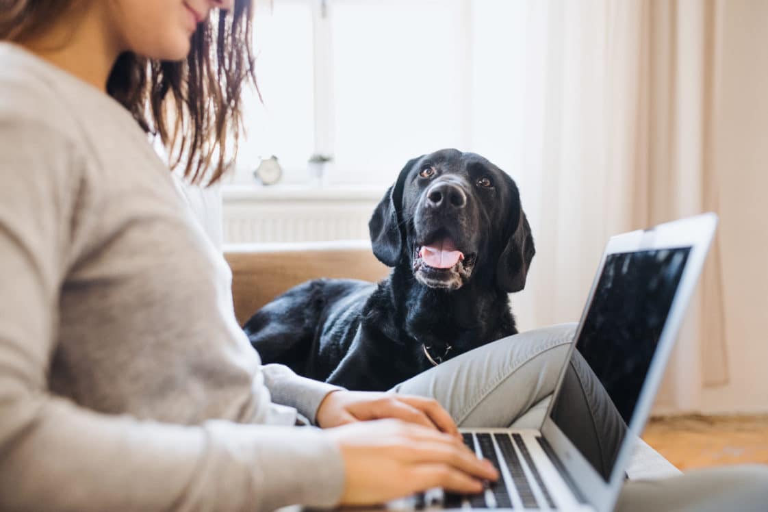 Je travaille toute la journée puisje quand même adopter