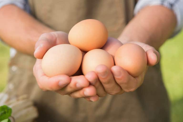 oeufs