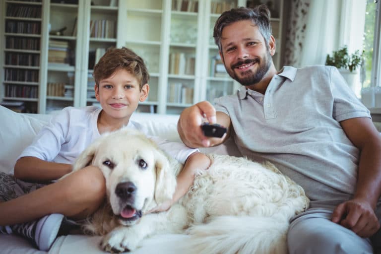 chien famille