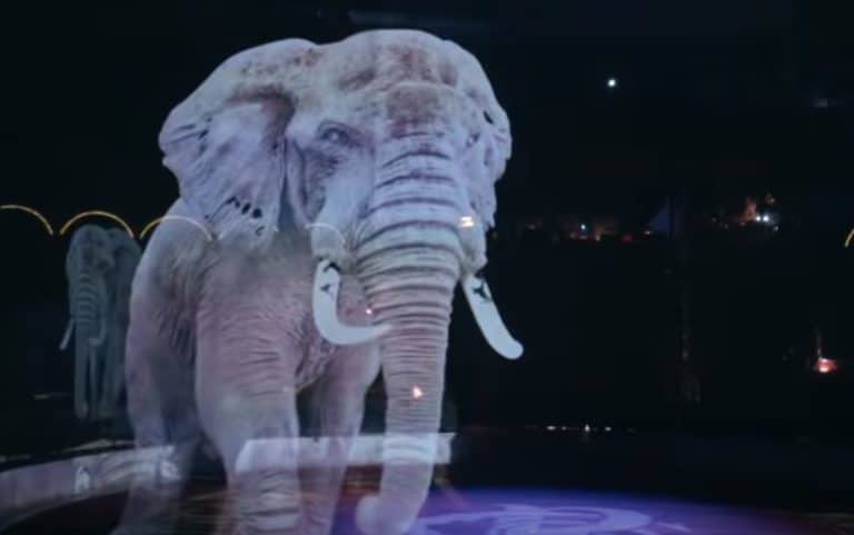 éléphant cirque roncalli