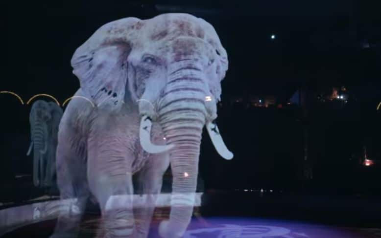 éléphant cirque roncalli