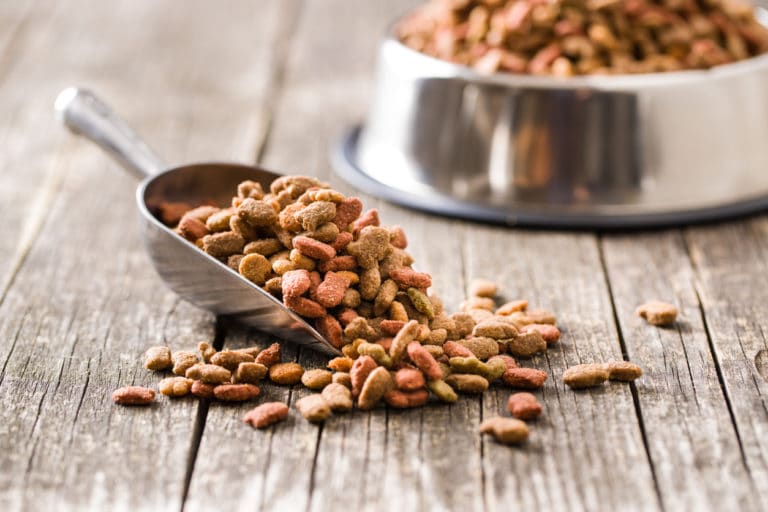 croquette chat chien nourriture doser dosage gamelle nourrir