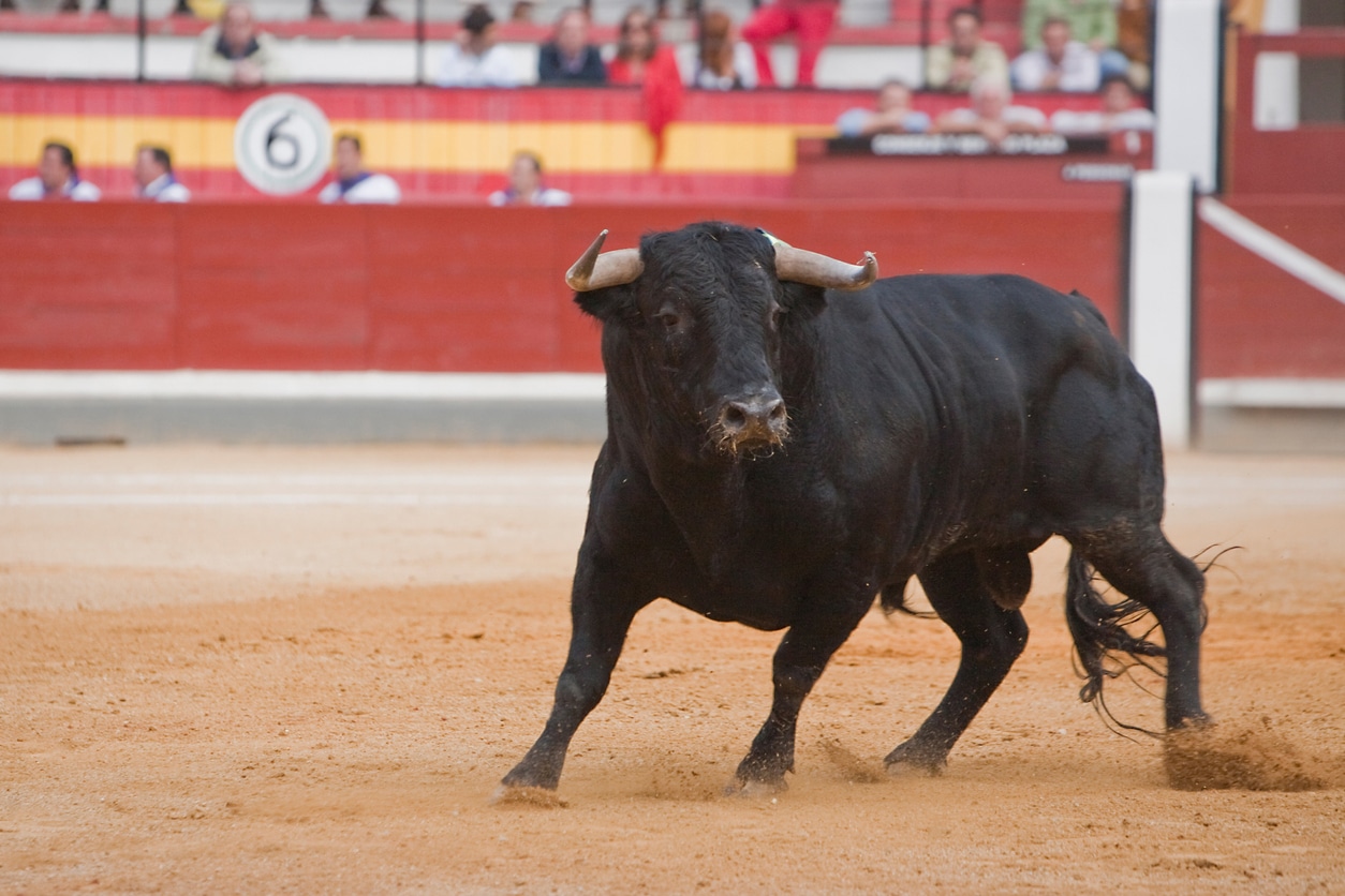 taureau corrida arènes