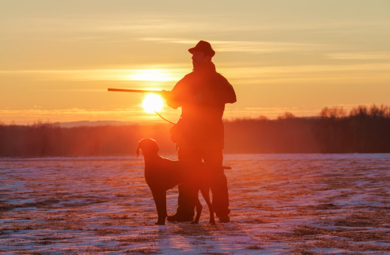 chasseur chien coucher de soleil fusil