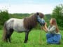 poney femme